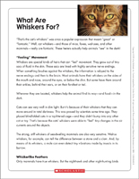 6th Grade Reading Comprehension Worksheets | Scholastic