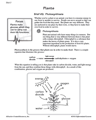 Plants Vocabulary Worksheet for 6th Grade Science - TeacherVision