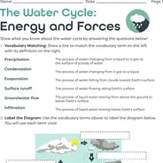 Printable 6th Grade Science Worksheets 