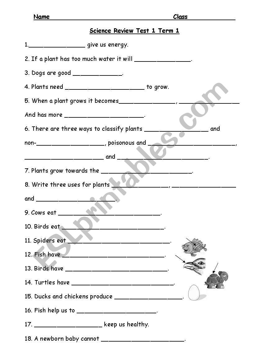 English worksheets: Science Review Grade 2