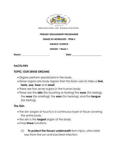 Grade 6 - Worksheets - Science