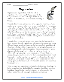 Science Worksheets