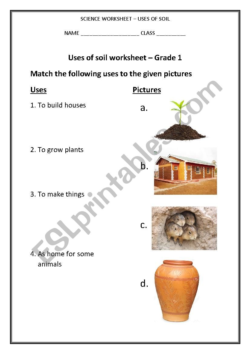 USES OF SOIL - ESL worksheet by f.kwin