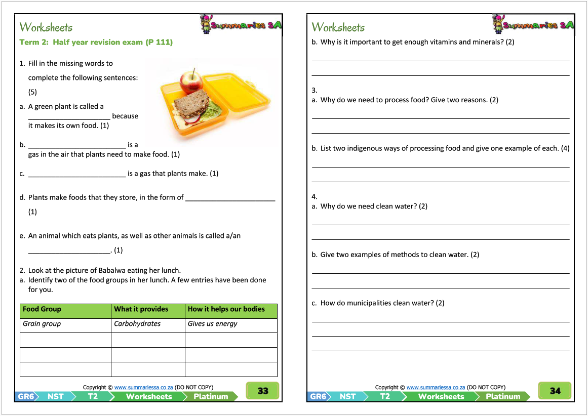 Grade 6 Natural Sciences &  Technology Term 2 (Platinum) - Activities and  Worksheets