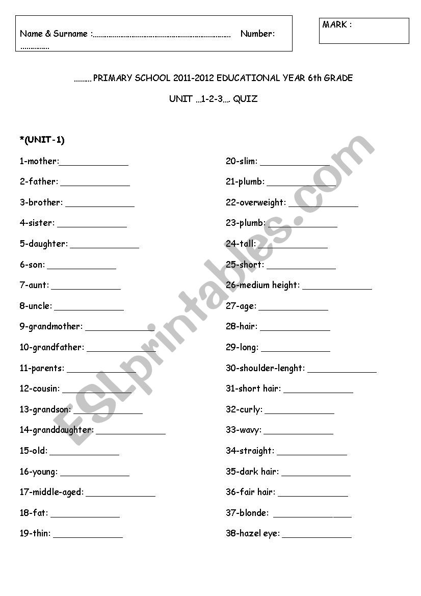 6th grade vocabulary practice worksheet