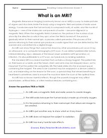 7th grade reading comprehension practice worksheet