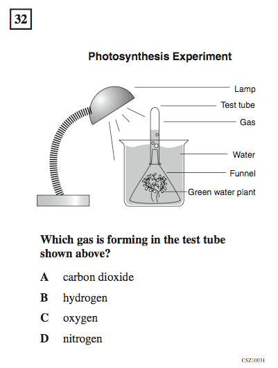 science_5th_photo_gas.gif