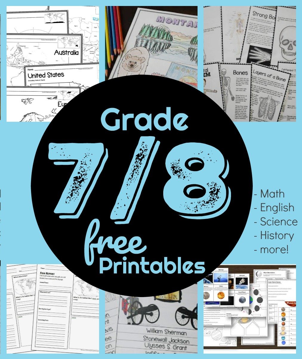 7th grade worksheet free