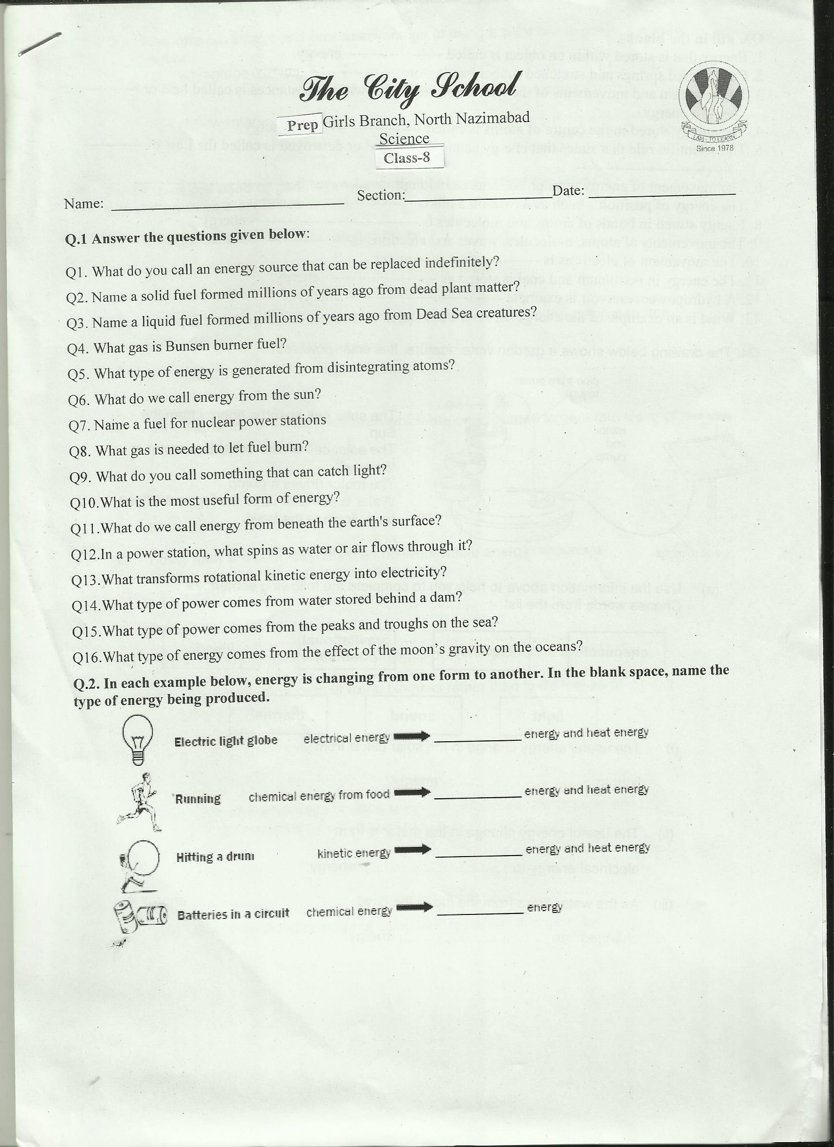 Grade 8- Science Worksheet | tcspgnn