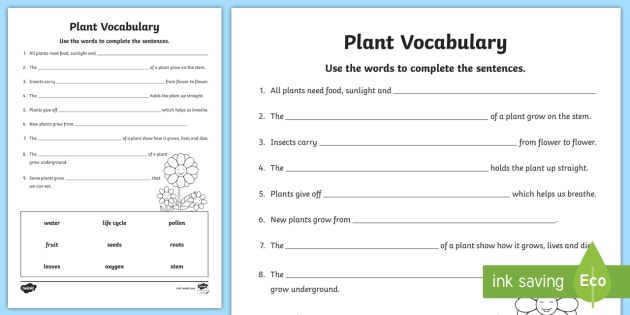 Plant Vocabulary Worksheet (teacher made) - Twinkl