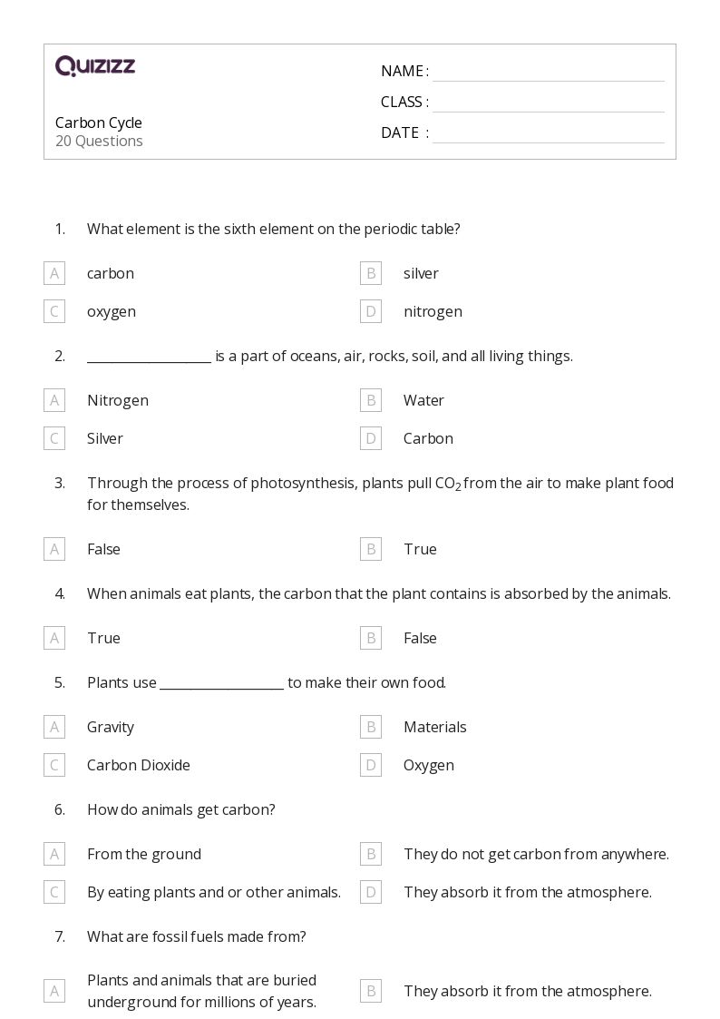 8th grade plant worksheet