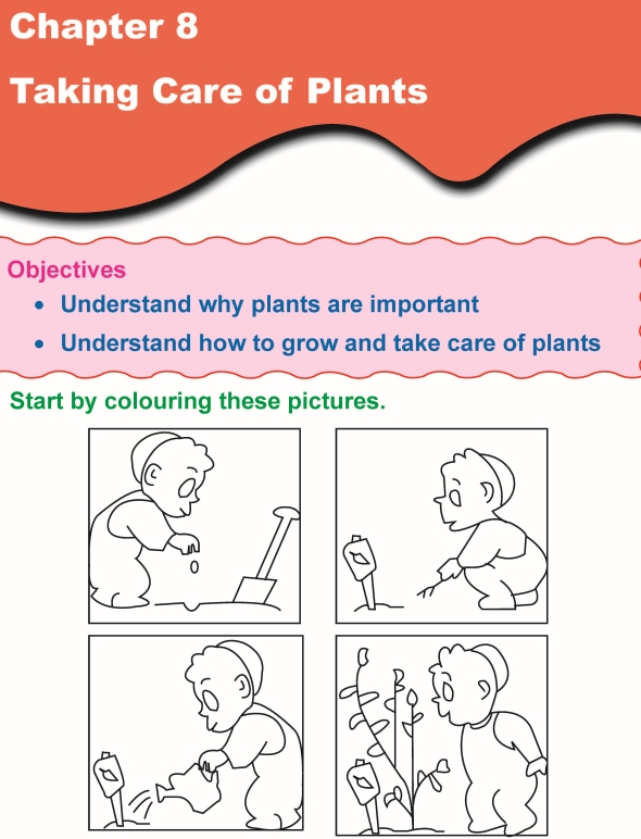 Grade 1 Science Lesson 8 Taking Care of Plants | Primary Science