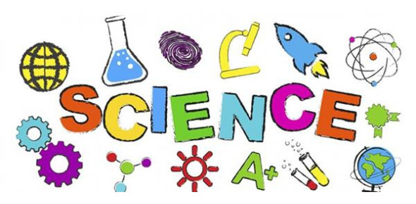 An 8th Grade Science EOG MCQ Test - Quiz, Trivia &  Questions