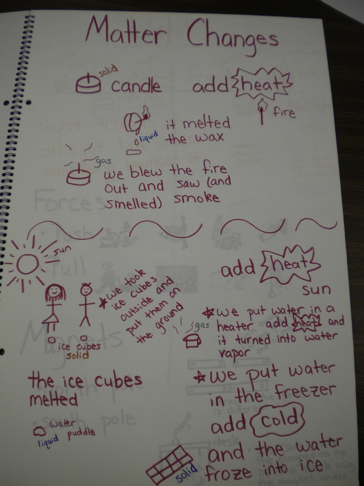 First Grade Randomness: Large Class Science Journal / Student ...