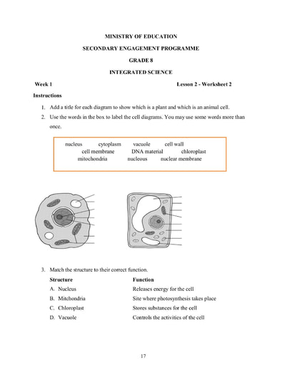 8th grade science worksheet answers