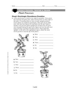 Plant Processes Worksheet for 6th - 8th Grade | Lesson Planet