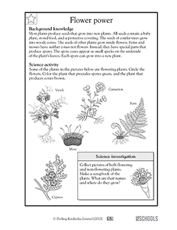 science Worksheets, word lists and activities. | Page 8 of 27 ...