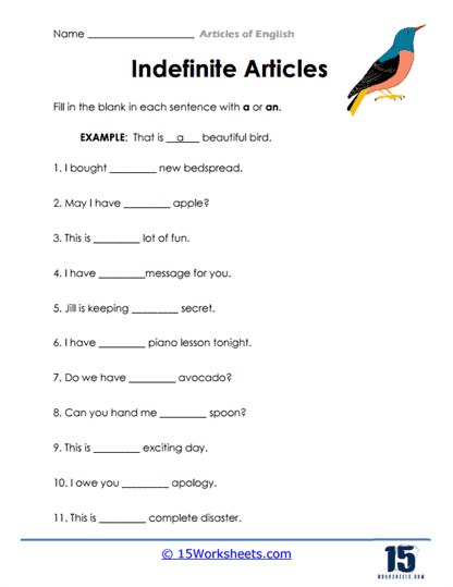 a and an worksheet for