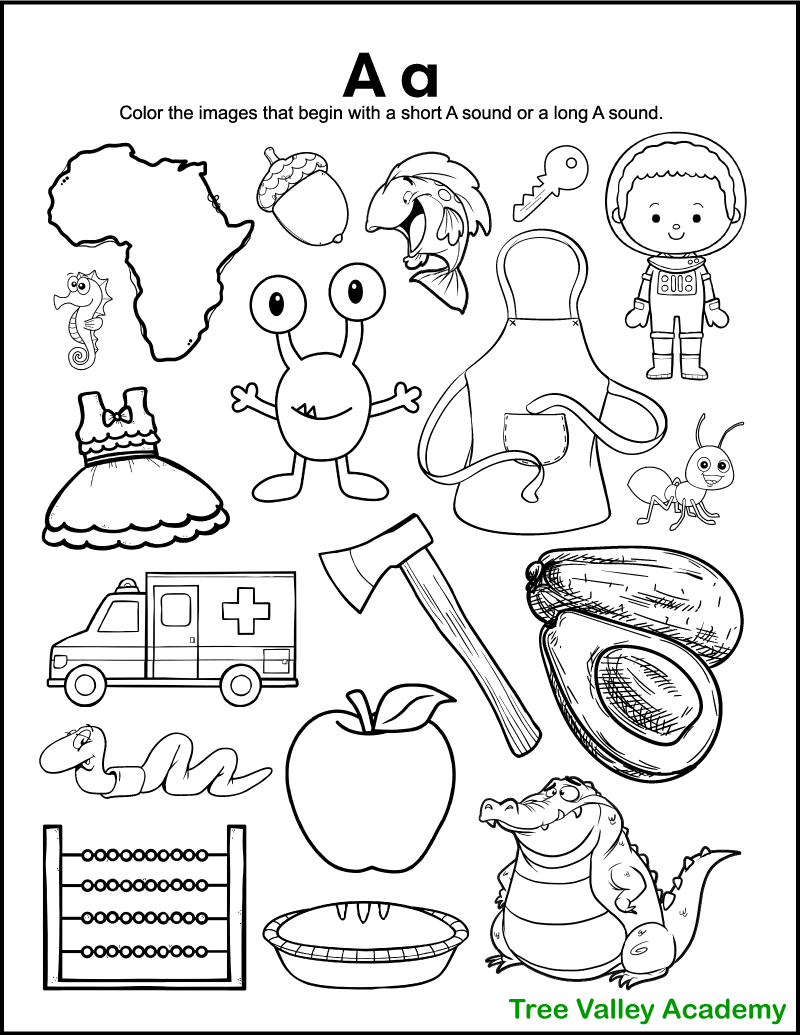 a and an worksheet free