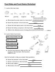 a food web worksheet answers