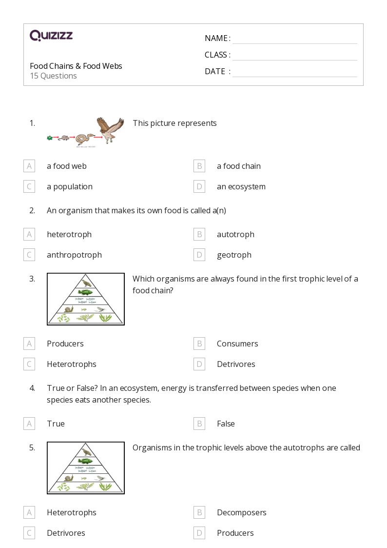 50+ food chain worksheets on Quizizz | Free &  Printable