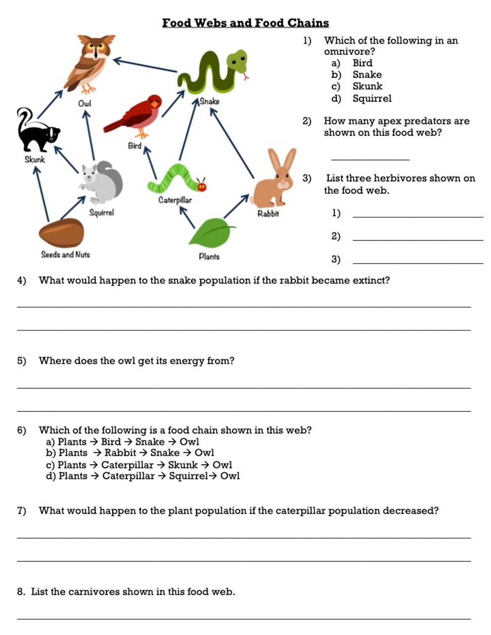 a food web worksheet