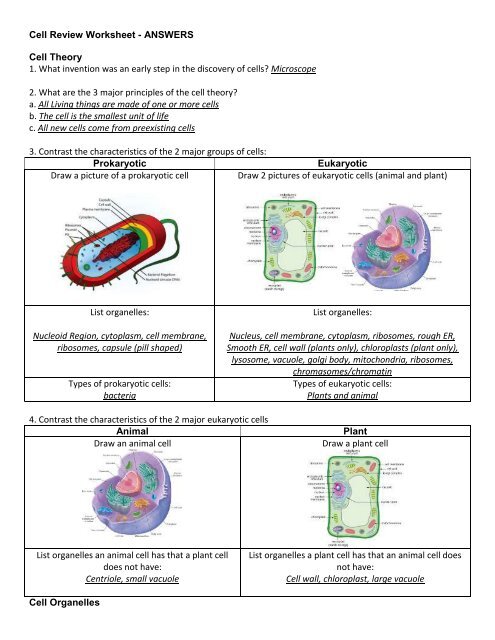 a view of the cell worksheet answers