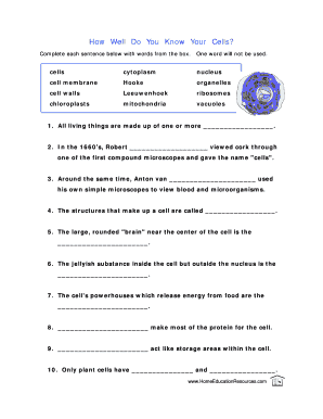 a view of the cell worksheet answers
