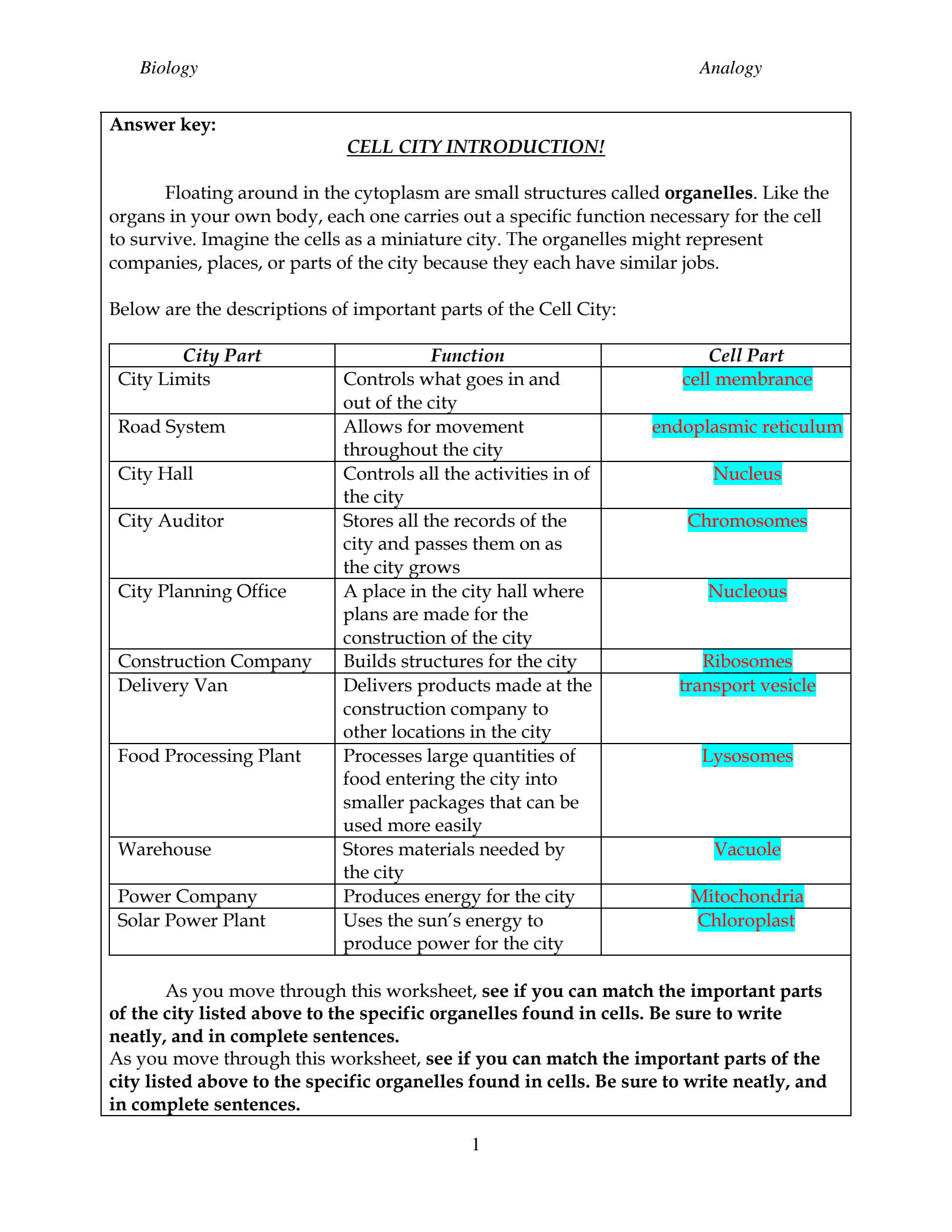 a view of the cell worksheet answers