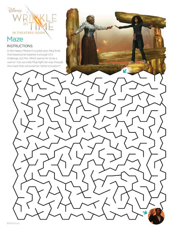 A Wrinkle in Time Novel Study FREE Sample | Worksheets and Activities