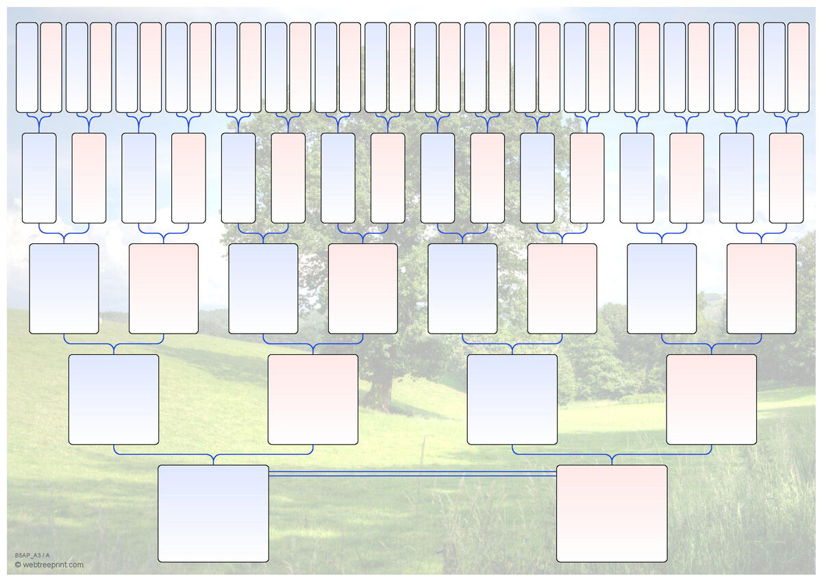Illustrated Blank Family Tree Charts DOUBLE 5 generations A3 pack Illustrated Blank Family Tree Charts DOUBLE 5 generations A3 pack