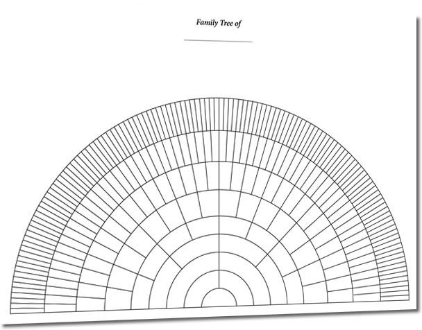 A3 Eight Generation Half Circle Fan Chart - S& N Genealogy Supplies