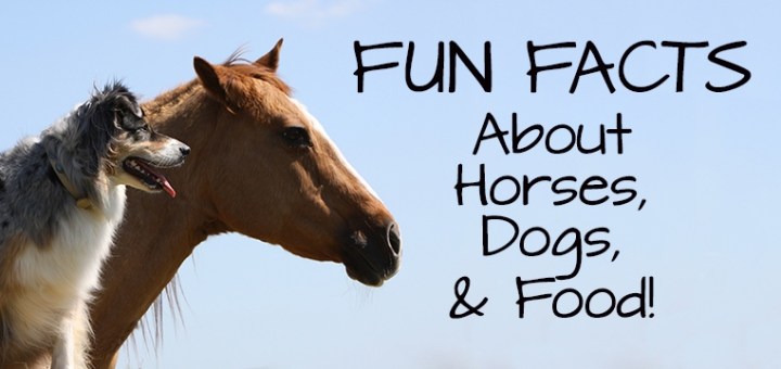 Fun Facts about Horses, Dogs, &  Food! - BioStar US