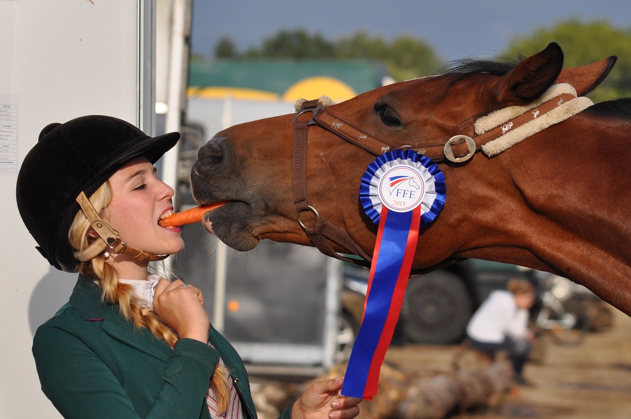 Top 5 Interesting Facts About Horse Jumping As A Sport - RM Show ...