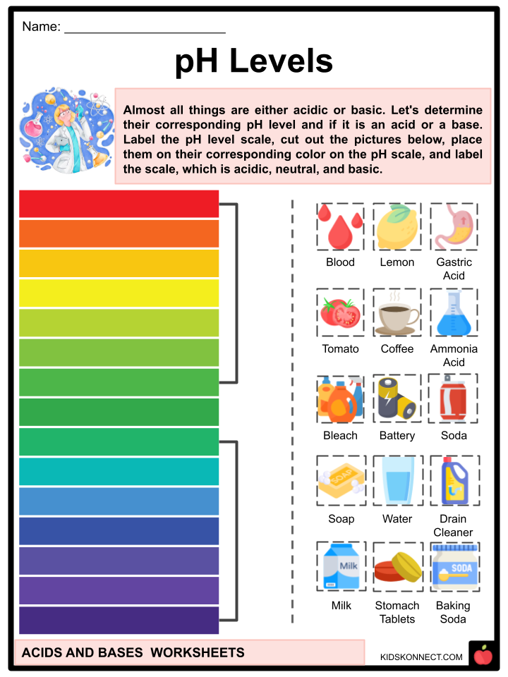Acids and Bases Worksheets | Uses of Acids and Bases, Fun Facts