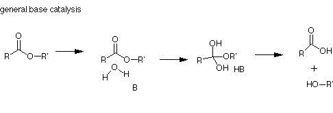 Mechanisms of Catalysis