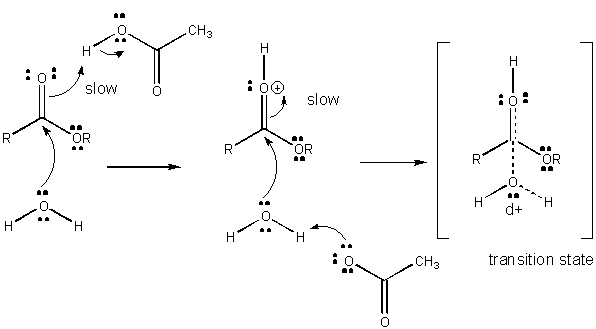 CHAPTER 7 - CATALYSIS