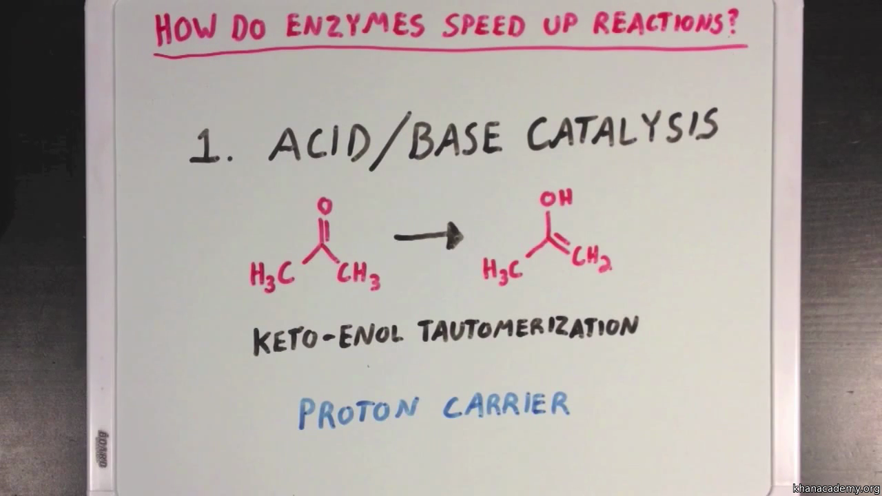 Introduction to enzymes and catalysis (video) Khan Academy