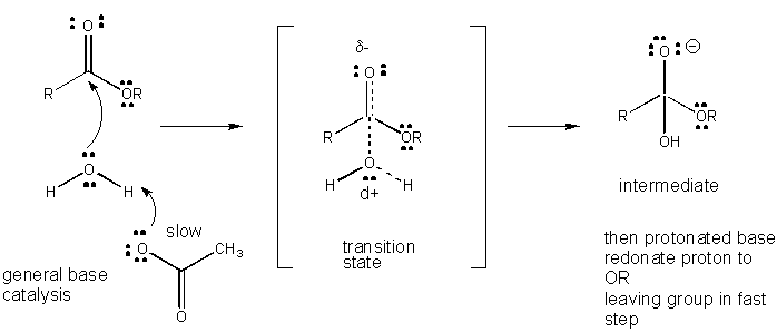 A1. General Acid and Base Catalysis - Chemistry LibreTexts