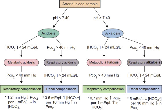 Acid Base Balance Made Easy Arterial Blood Gas Analysis Made Easy With