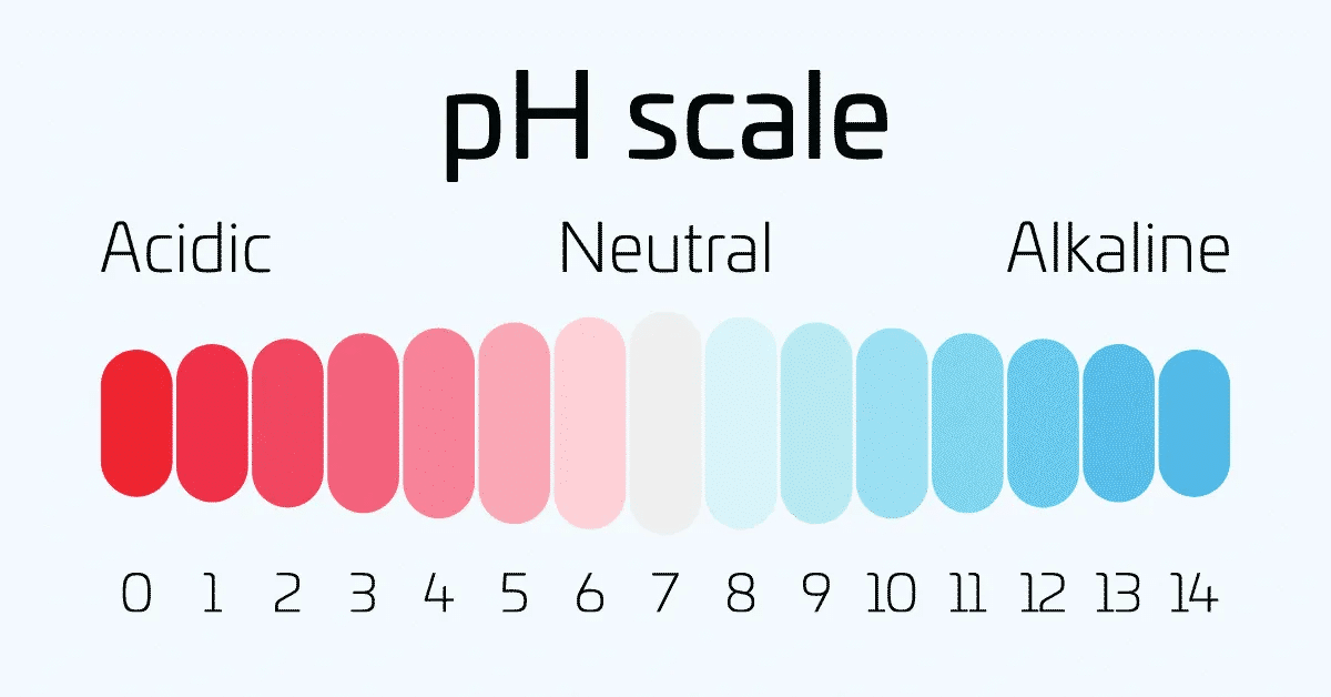 Acid-Base Balance: Overview and Practice Questions (2024)