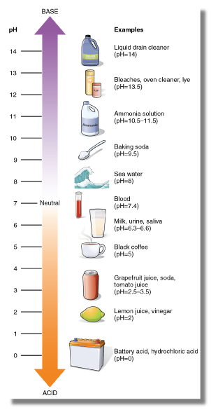 pH Scale | U.S. Geological Survey