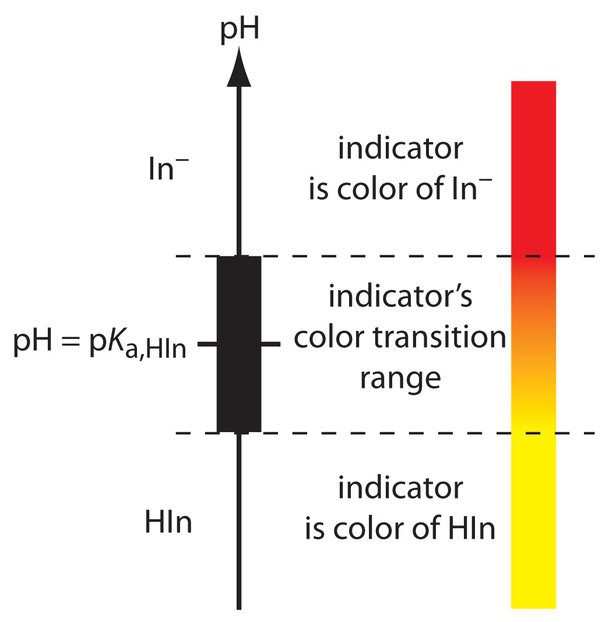 Why do acidbase indicators change colors at specific ranges? Quora Worksheets Library