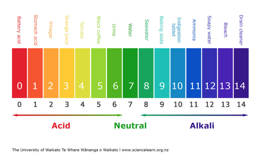 Acids and bases - introduction — Science Learning Hub