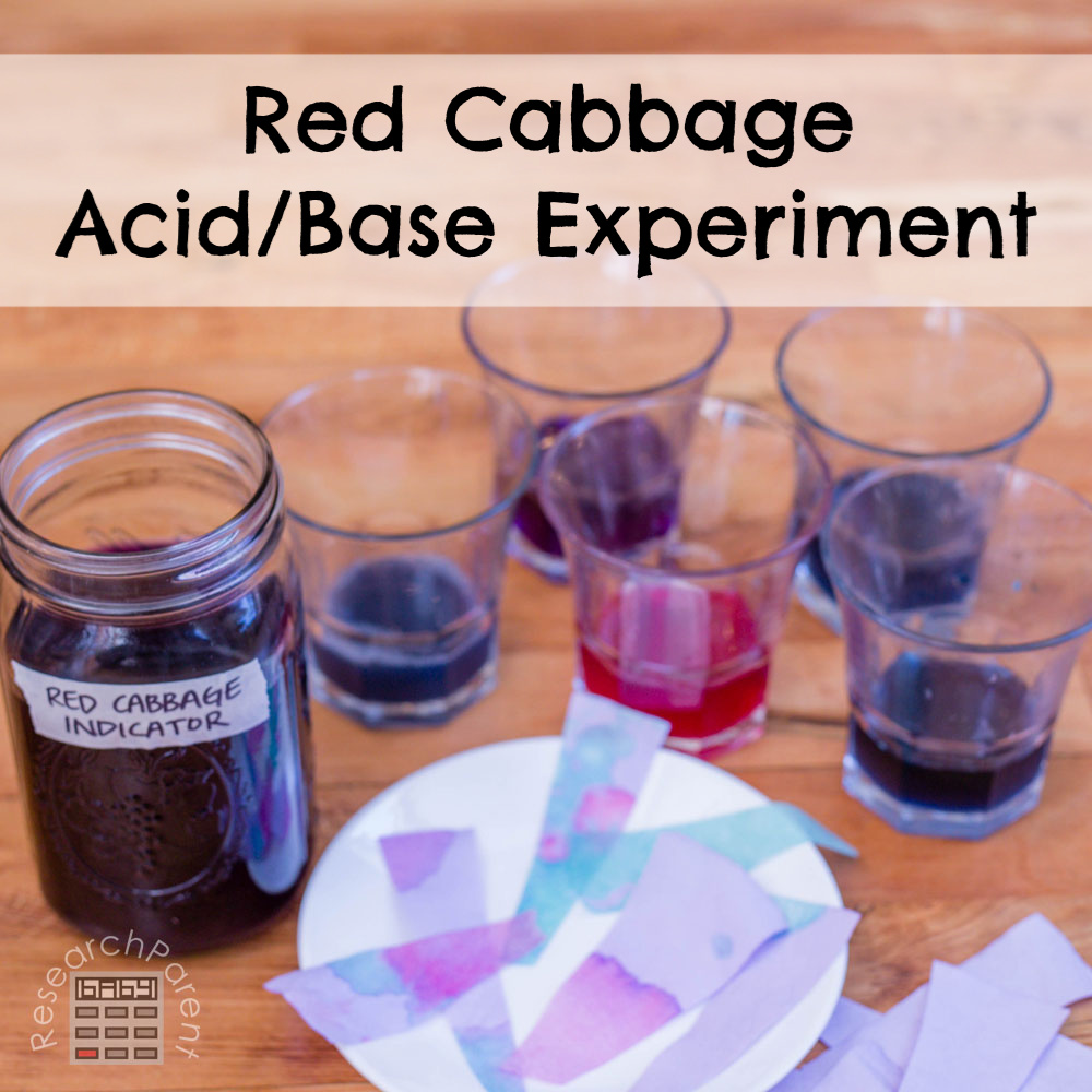 Red Cabbage Acid/Base Experiment Worksheets Library