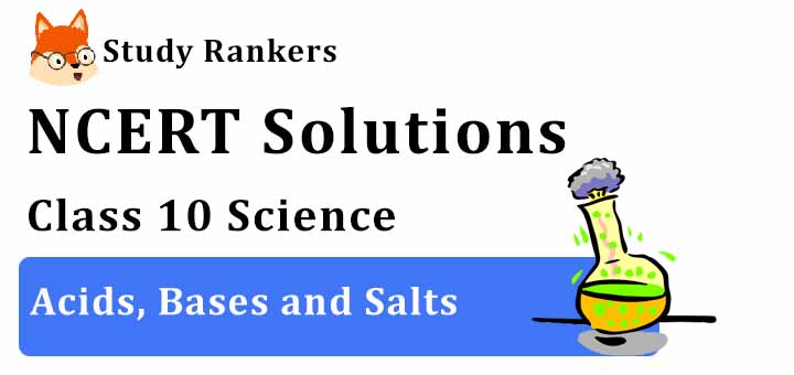 NCERT Solutions for Class 10 Science Chapter 2 Acids, Bases and Salts
