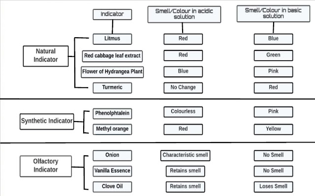 acids bases and salts chart