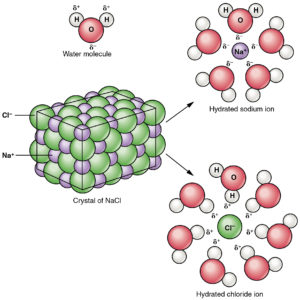 acids bases and salts chart