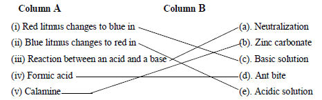 CBSE Class 7 Science Acid Bases and Salts Worksheet Set A