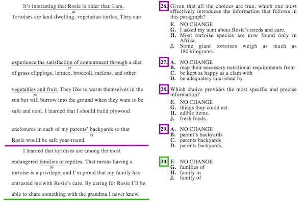 The Best Way to Approach ACT English Passages